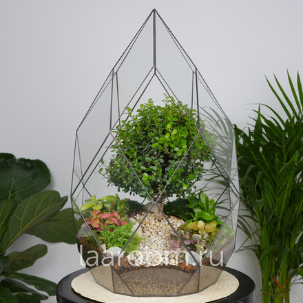 Флорариум бонсай Мирсина Фаберже