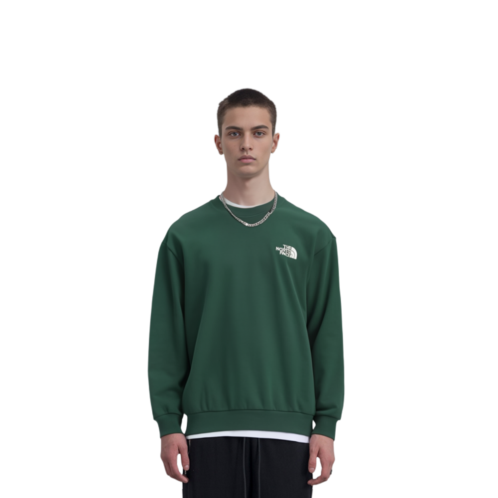 Толстовки THE NORTH FACE Logo, NM5MN90E