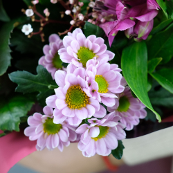 Букет #6 Таинство с премиум-хризантемами и пионовидными розами