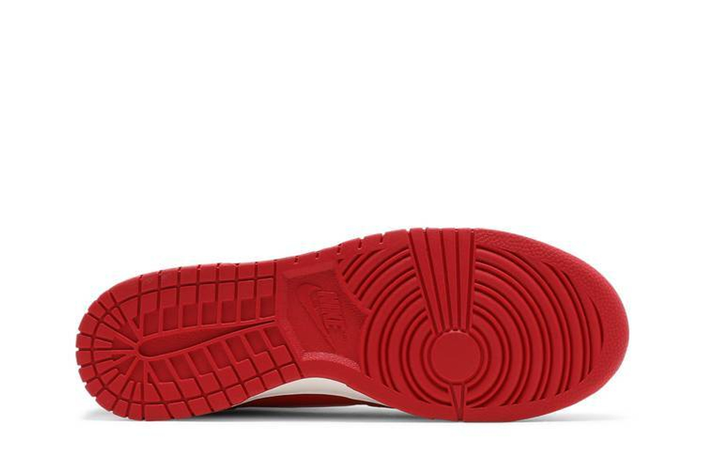 Кроссовки Nike Dunk "First Use"