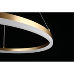 Подвесная светодиодная люстра Aployt Armel APL.049.13.40