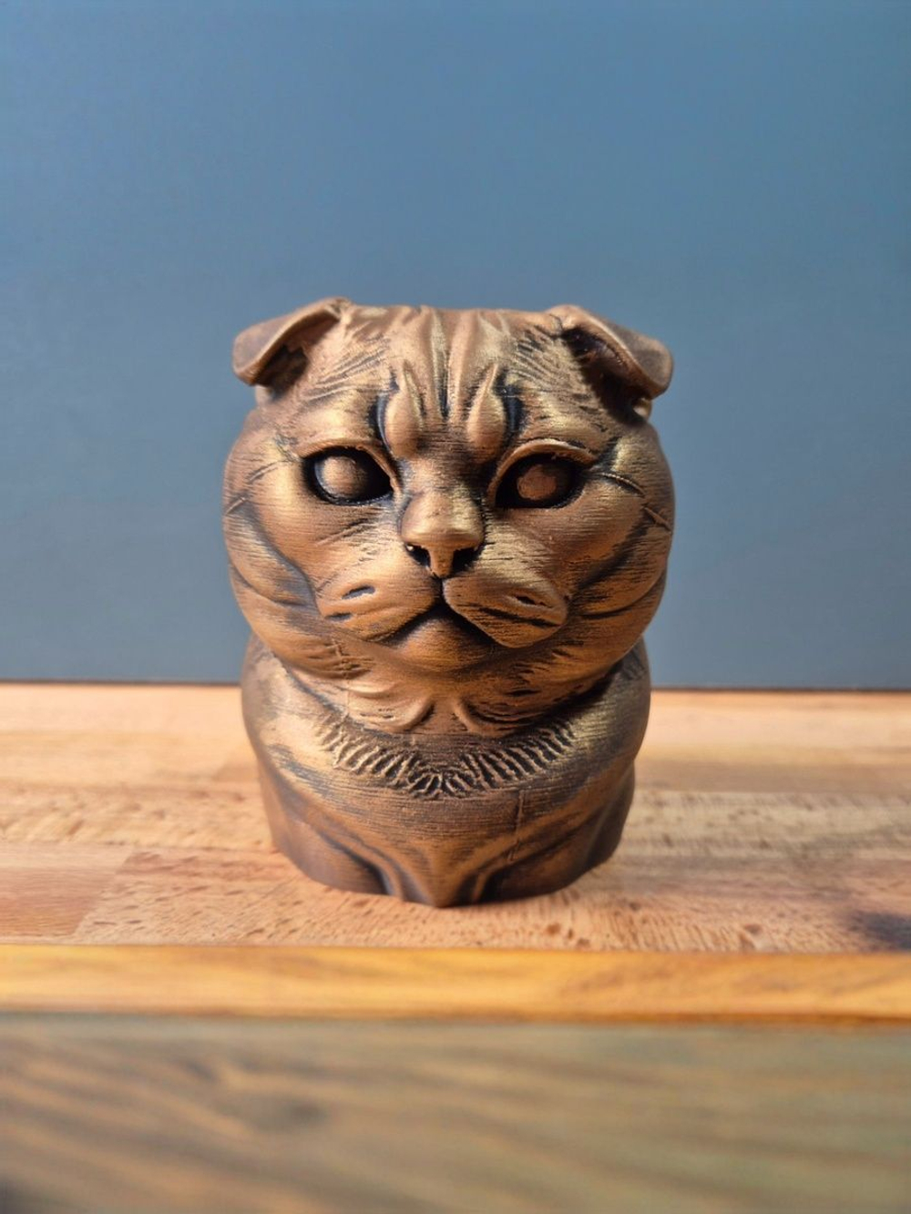 Шотландская вислоухая кошка