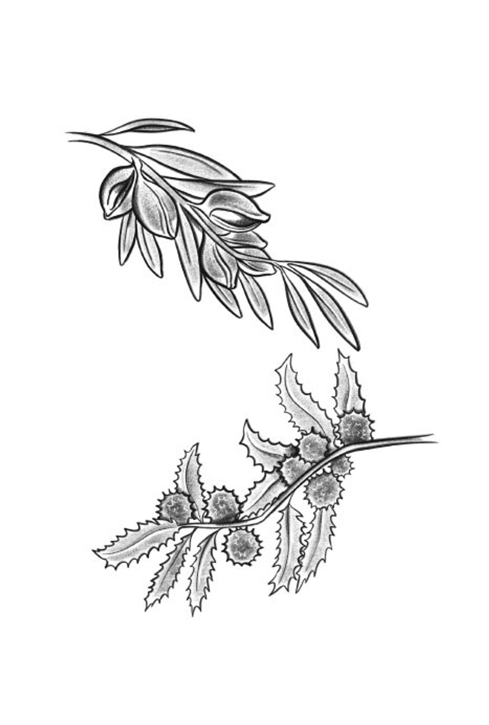 Мхитар Гош. Басни XII века