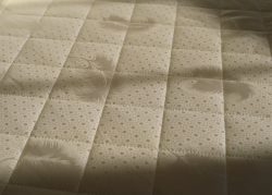 Матрас DreamLine Easy Feel TFK 80х200