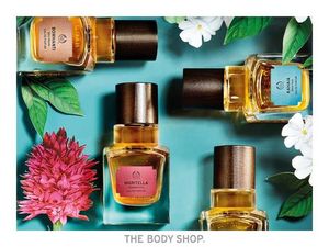 The Body Shop Widdringtonia