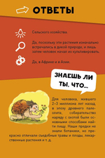 Викторина чемпионов. Первобытный человек. Время играть