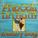 Procol Harum / A Salty Dog (LP)