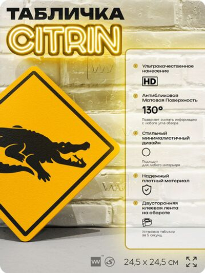 Табличка прикольная "Осторожно, крокодилы" на дверь и стену, информационная и предупреждающая, декоративный знак, 24,5х24,5 см, пластиковая, Айдентика Технолоджи
