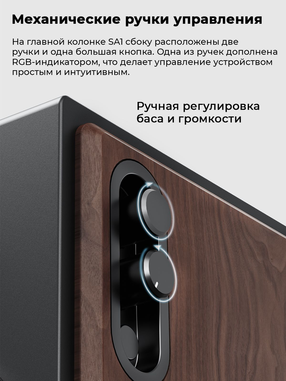 Колонки компьютерные Bluetooth FIIO SA1 (F3053S) Twilight Black