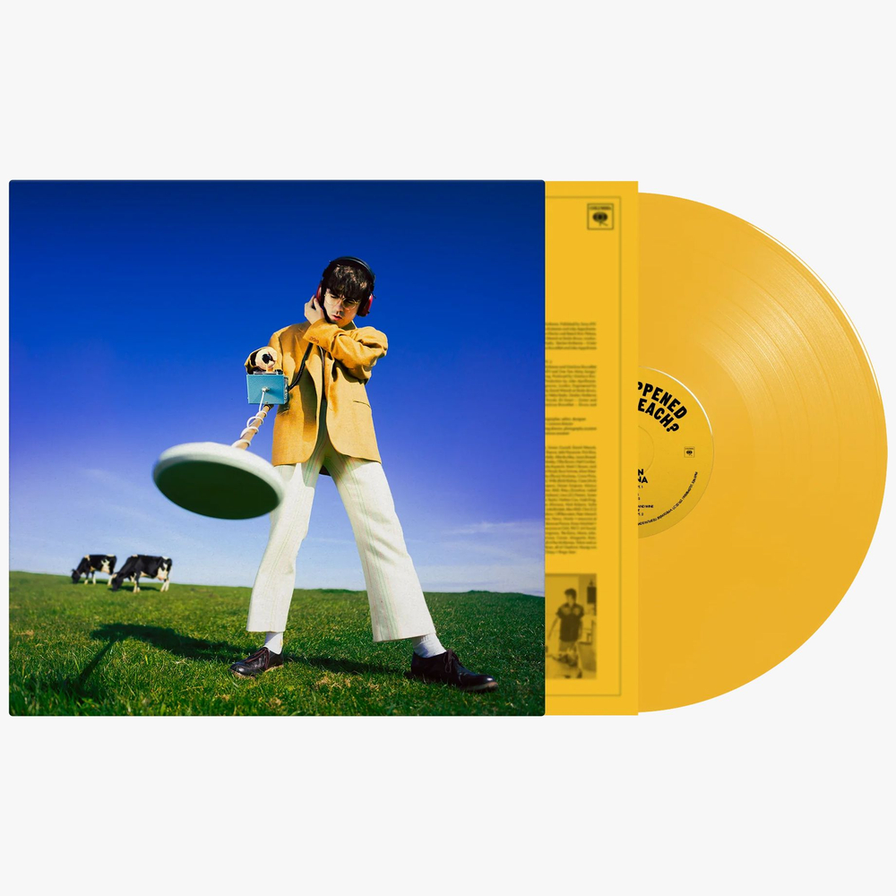 Declan McKenna - What Happened To The Beach (coloured) - новая виниловая пластинка