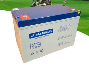 Аккумуляторы Challenger EVG12-100S - фото 1