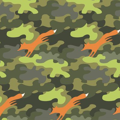 Камуфляж Лиса 1