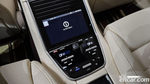 Porsche Panamera (971) 2.9 AWD Platinum Editions (04.2023)
