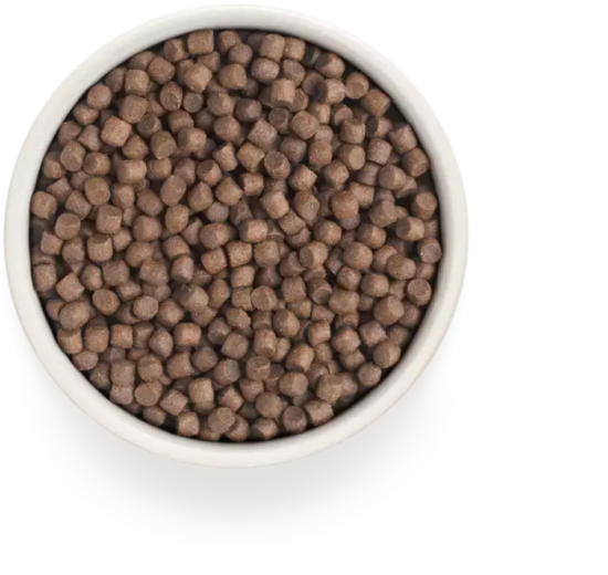 Grandorf Сухой корм для взрослых собак мини пород четыре вида мяса с пробиотиками