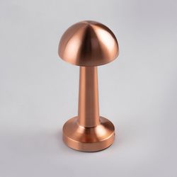 Настольная лампа декоративная Escada Evo 10257/L LED