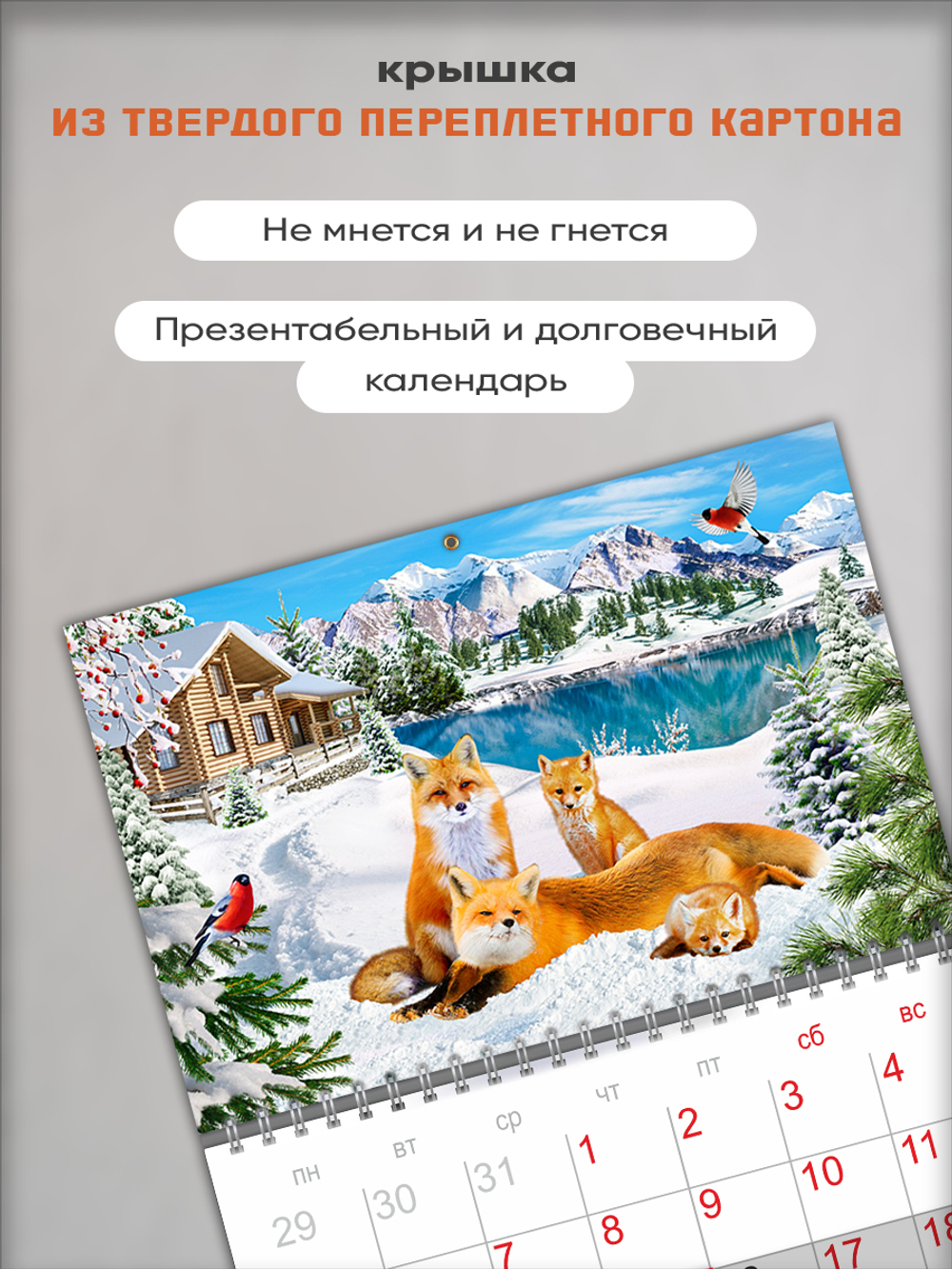 Настенный отрывной календарь "Лисы"