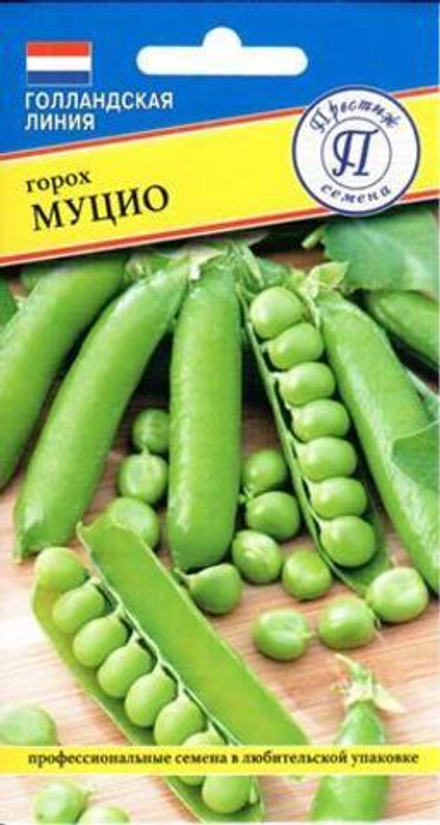 Горох Муцио Престиж
