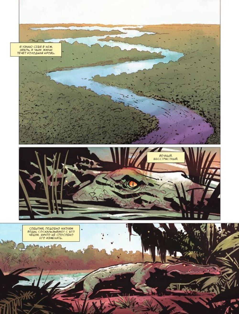 Комикс Far Cry. Слезы Эсперансы