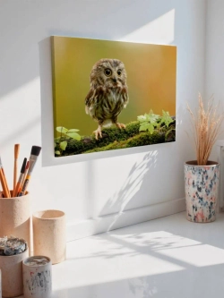 Картина на стену 40 X 50 Сова