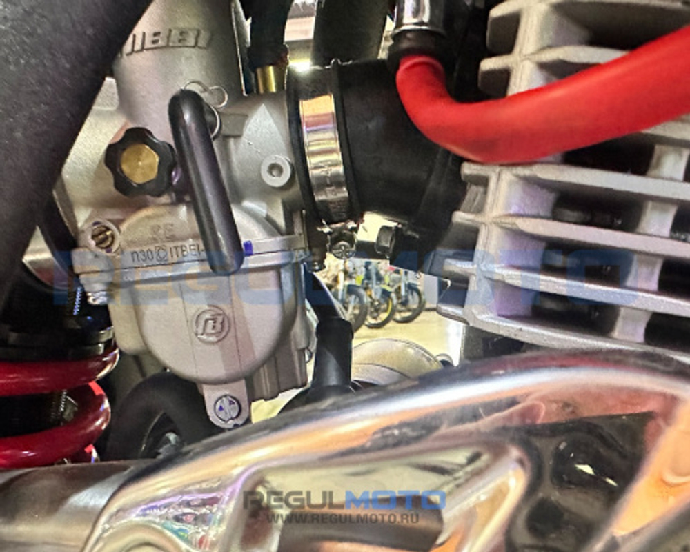 Мотоцикл Regulmoto ATHLETE PR300 NEW 21/18 с ПТС