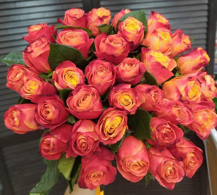 Букет из 35 эквадорских роз 60 см ( цвет на выбор )  #1803