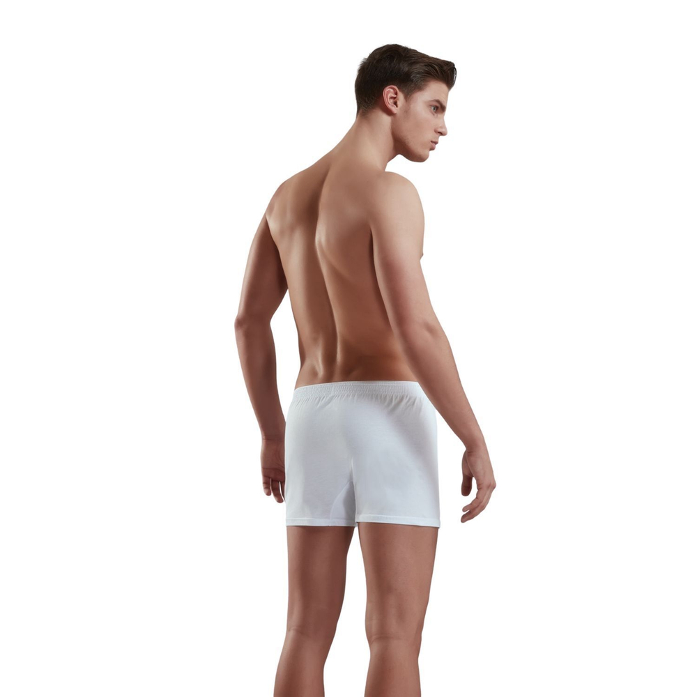 Хлопковые трусы-боксеры свободного покроя Doreanse Cotton Basic (Размер: L) (Цвет: фиолетовый)