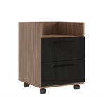 Тумба подкатная 2 ящика ASTI (АСТИ), глянец