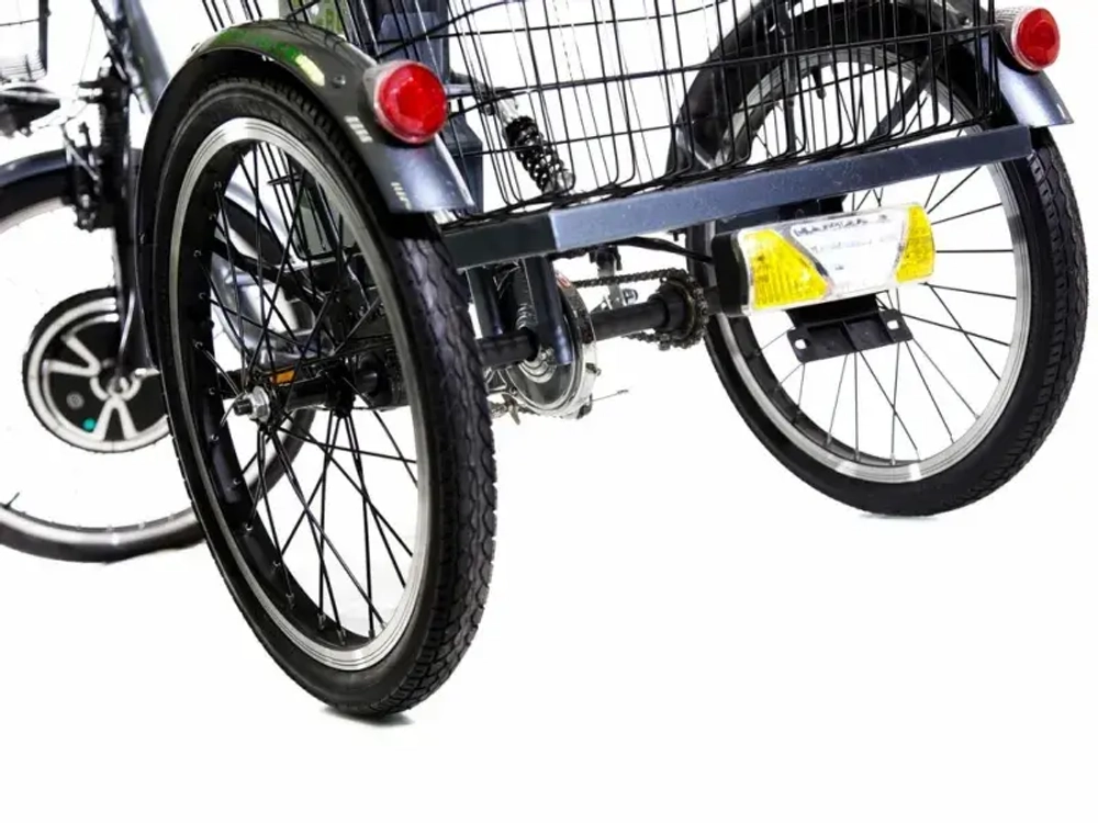 Трехколесный электровелосипед E-motions KANGOO-RU 750