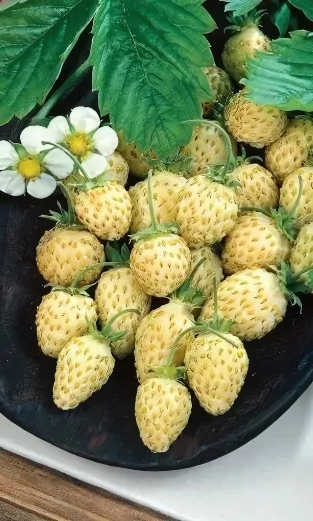 Семена Земляника Ананасная ГЕЛЕВОЕ ДРАЖЕ 20 шт (УД) Ц/П