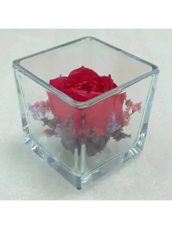 натуральный пион в стекле, вакуум*