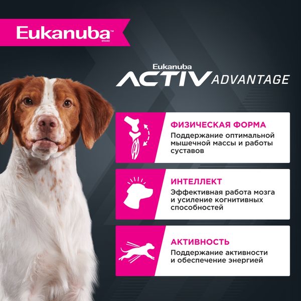Сухой корм Eukanuba Adult Medium Breed 1+ years для взрослых собак средних пород