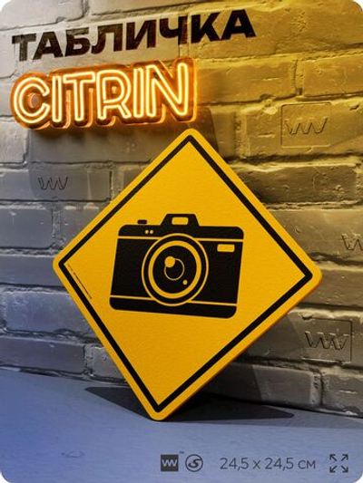 Табличка декоративная "Фотоаппарат" на дверь и стену, для фотографа, информационная, декоративный знак, 24,5х24,5 см, пластиковая, Айдентика Технолоджи