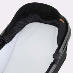 Детская коляска Rant Falcon 2 в 1 Black