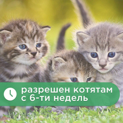 Эмульсия от гельминтов для кошек от 2кг Супрамил (Supramil), 5мл. Празиквантел/Мильбемицин