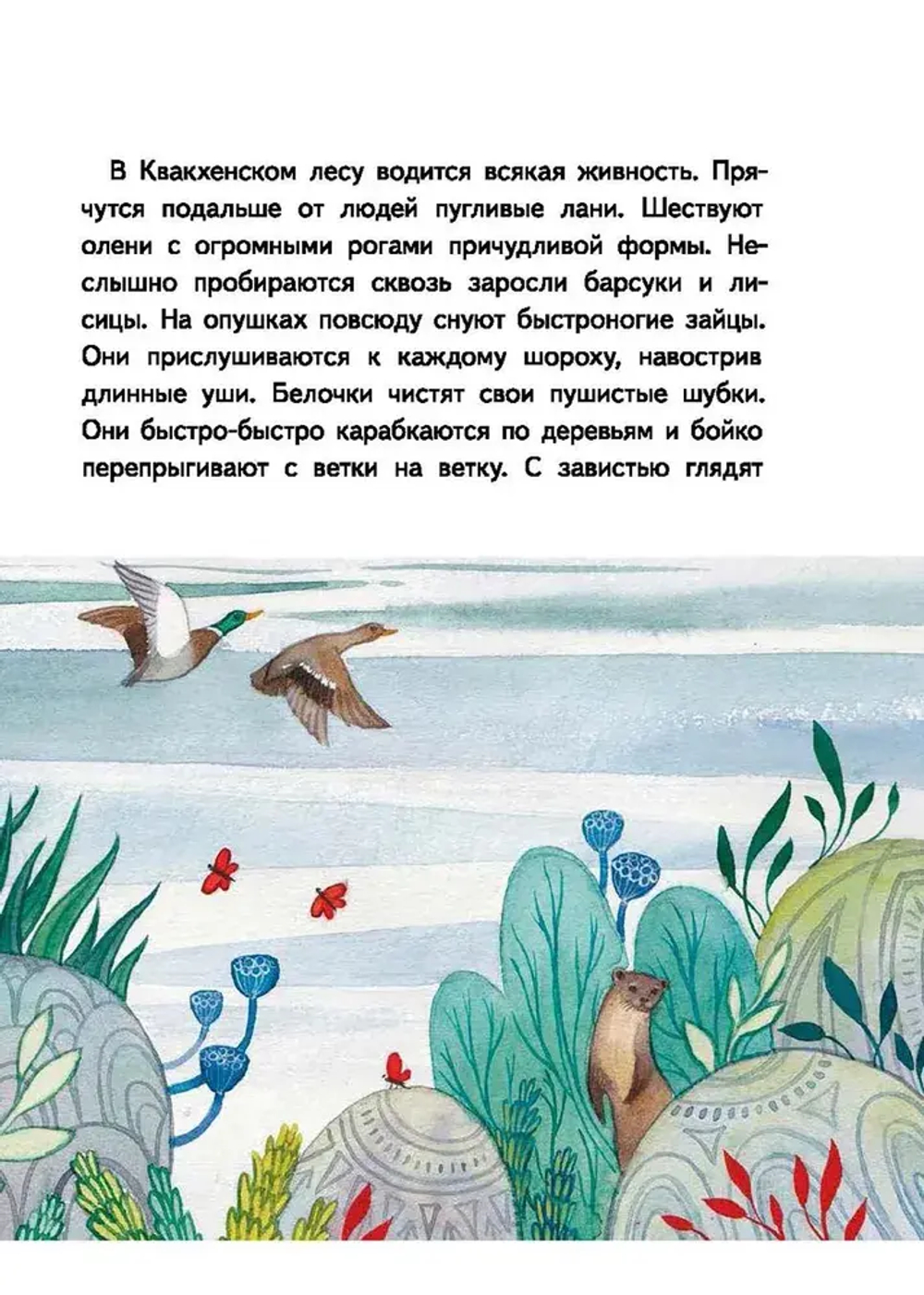 Волшебные очки Зелемунда