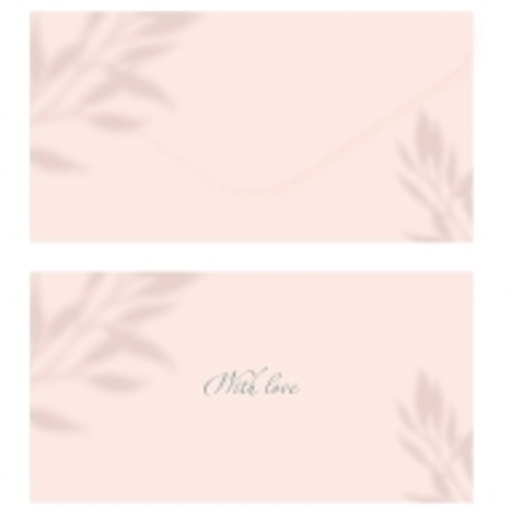 Конверт для денег MESHU "Peach", 85*164мм, soft-touch, фольга