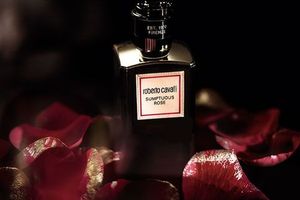 Roberto Cavalli Sumptuous Rose