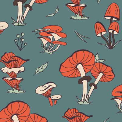 Грибной Лес