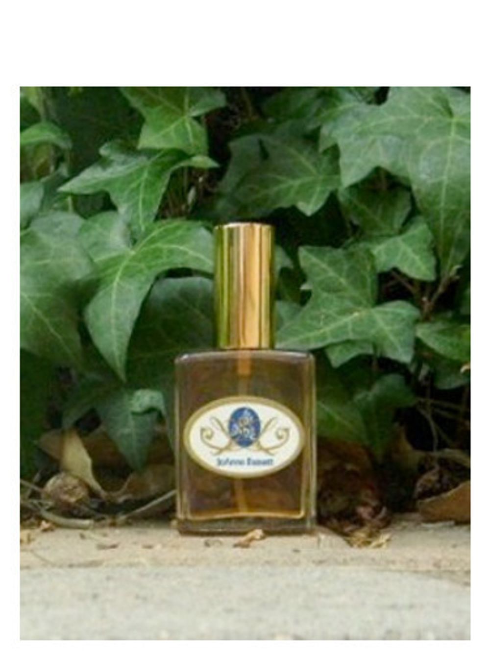 JoAnne Bassett Venus Amber