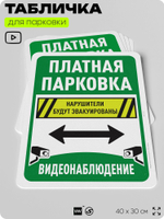 Табличка для парковки "Платная парковка, видеонаблюдение", для дома, офиса, организаций, 40х30 см, Silver Plane x Айдентика Технолоджи
