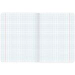 Тетрадь предметная COLOR 48 листов, матовая ламинация, лак, 70 г/м2, ОБЩЕСТВОЗНАНИЕ, клетка, подсказ, BRAUBERG, 403979