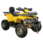 Квадроцикл Avantis Hunter H200 Big Premium (баланс. вал) желтый