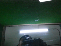 Стекло двери заднее левое Mercedes GLC C253 16-23