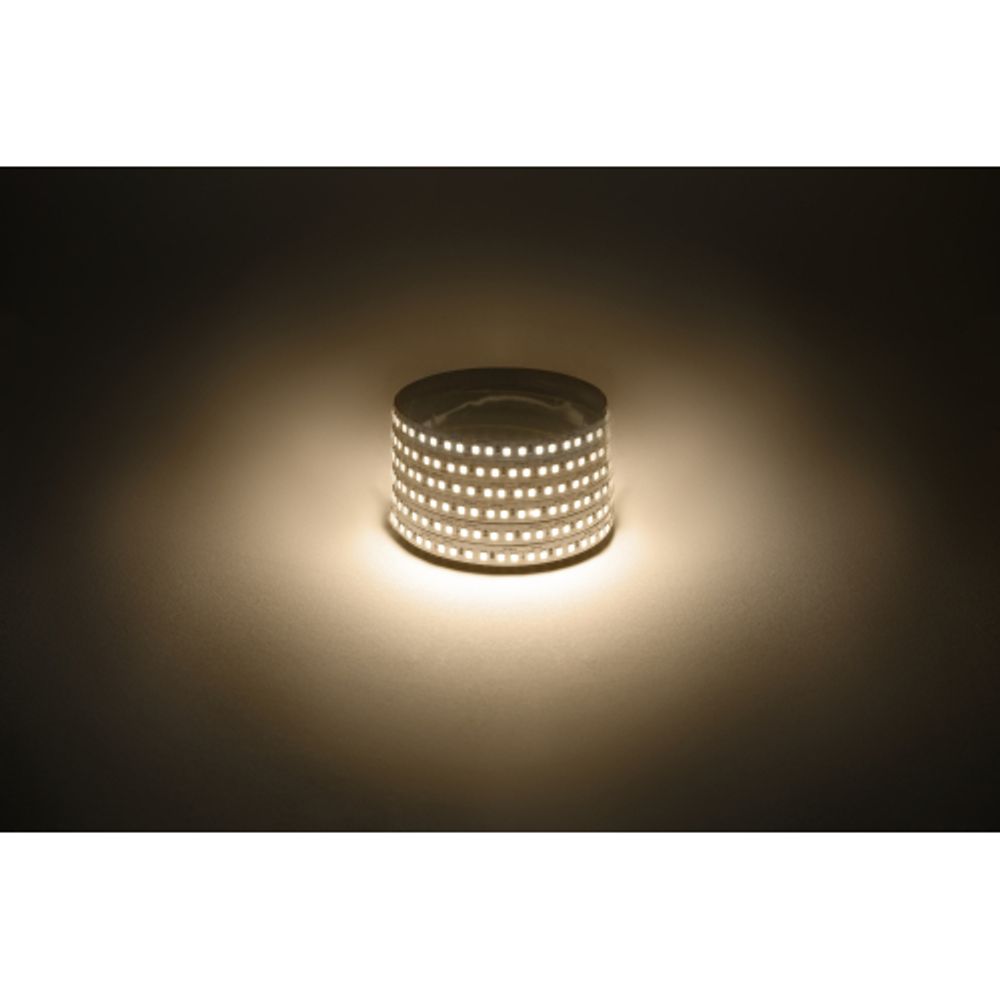 Светодиодная лента ЭРА LS2835-14,4-180-12-3000K-IP20-1 year-5m теплый белый 1 год