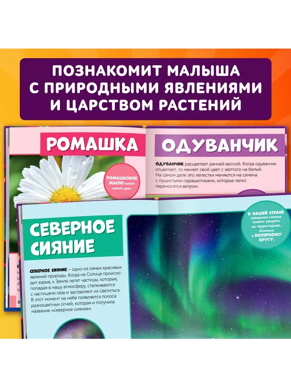 Фотоэнциклопедия для детей Мир вокруг нас
