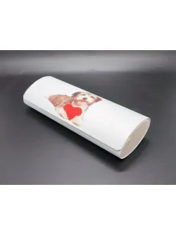 Футляр для очков