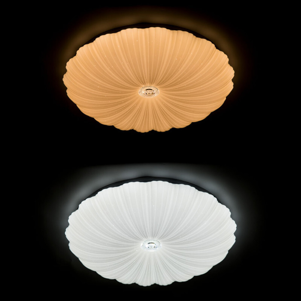 Накладной светильник ARTE Lamp A2675PL-72WH