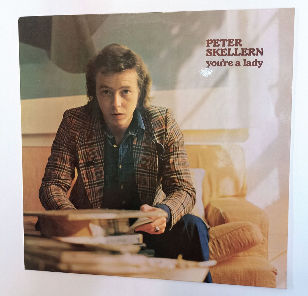 Винтажная виниловая пластинка LP Peter Skellern Youre A Lady (Germany 1973)