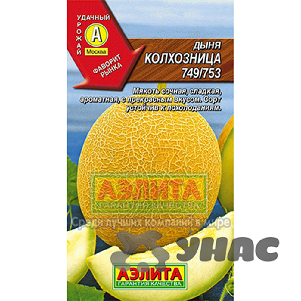 Дыня Колхозница