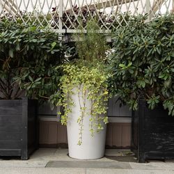 Кашпо CONUS SHALE D60 H171